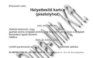 Helyettesítő karton (pisztolyhoz) 1